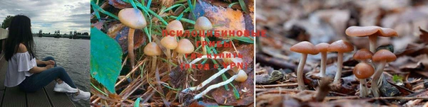 каннабис Кинешма