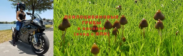 стаф Киреевск