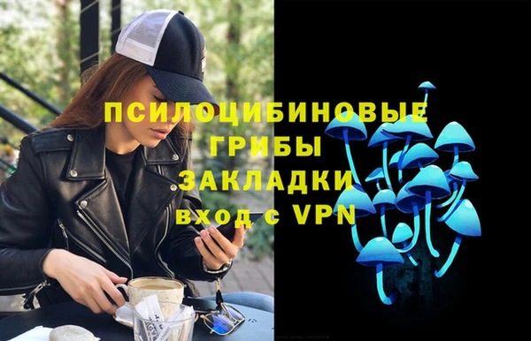 стаф Киреевск