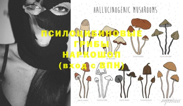 стаф Киреевск