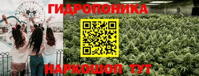винт Тара