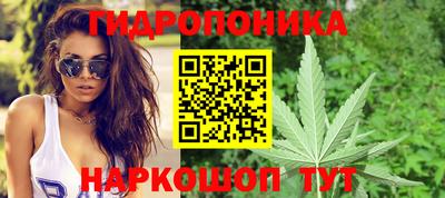 сатива Кулебаки