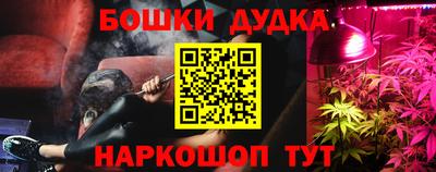сатива Кулебаки
