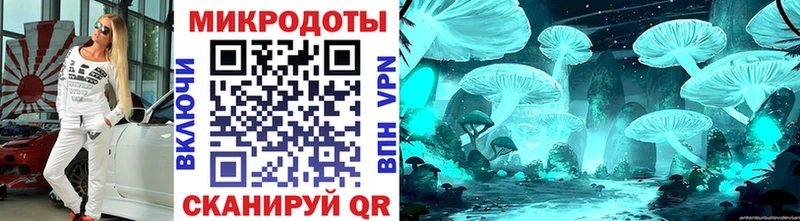 Купить  Клин  Галлюциногенные грибы мицелий 