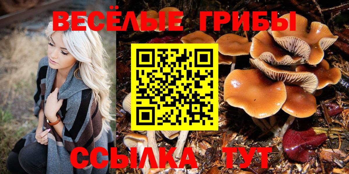 Галлюциногенные грибы мицелий Клин